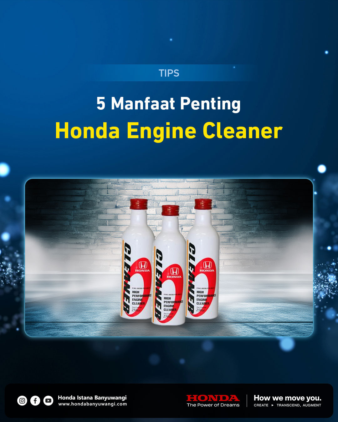 Honda Engine Cleaner